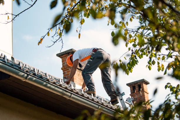 Best Flat Roofing  in Darlington, WI